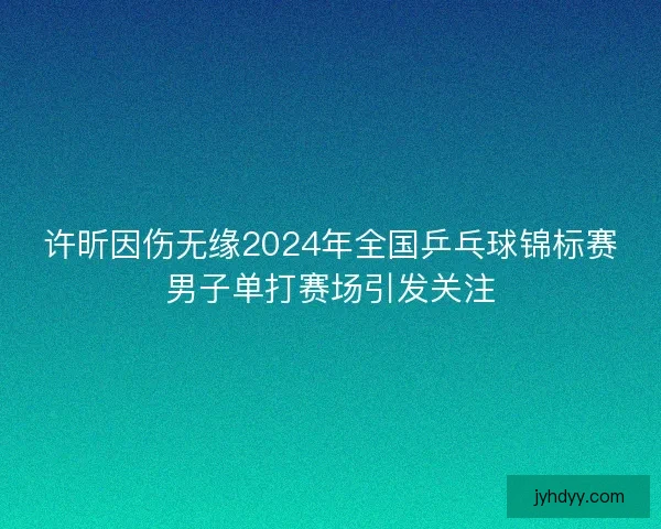 许昕因伤无缘2024年全国乒乓球锦标赛男子单打赛场引发关注